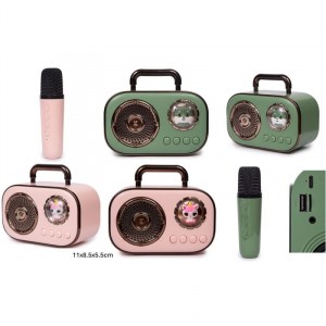 Altavoz karaoke verde e rosa